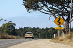 The Winding Road: My Journey to B-School