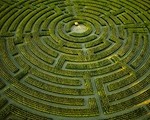 Critical Reasoning Questions – Not Settling for Second Best!