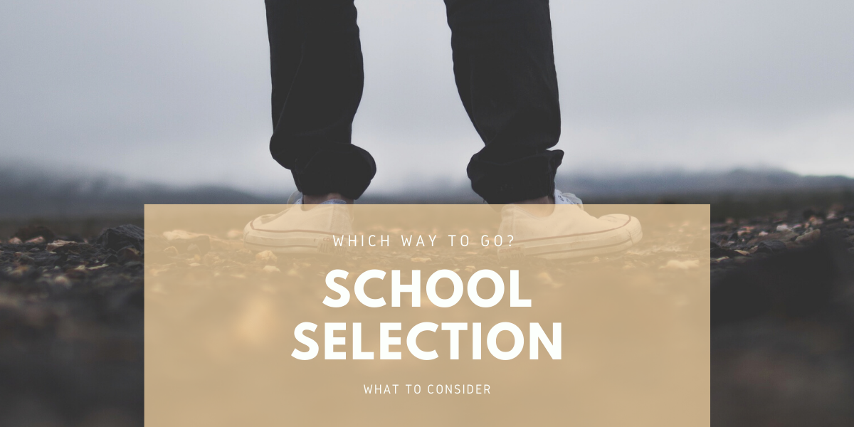 school selection road graphic.png