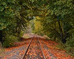 Parallelism: Grammar vs. Logic